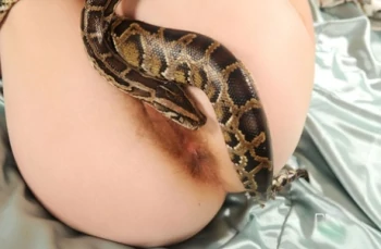 Bintang porno Snake